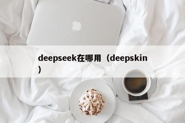 deepseek在哪用(deepskin)