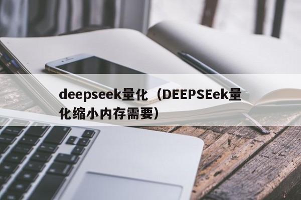 deepseek量化(DEEPSEek量化缩小内存需要)